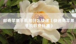 邮寄苹果手机用什么快递（快递寄苹果手机收费标准）