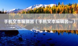 手机文本编辑器（手机文本编辑器txt）