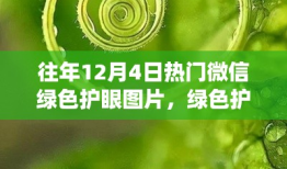历年十二月四日微信绿色护眼图片回顾，绿色护眼风潮来袭！