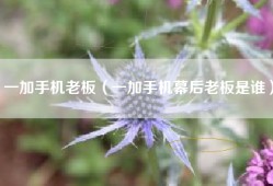 一加手机老板（一加手机幕后老板是谁）