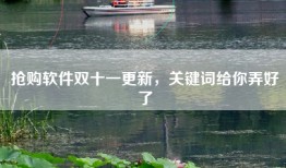 抢购软件双十一更新，关键词给你弄好了