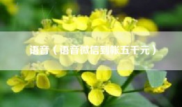 语音（语音微信到帐五千元）