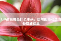 LED晶膜屏是什么来头，居然能撼动透明领域新篇章