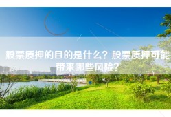 股票质押的目的是什么？股票质押可能带来哪些风险？