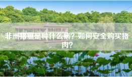 非洲猪瘟是种什么病？如何安全购买猪肉？