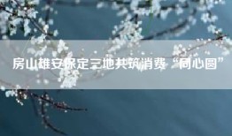 房山雄安保定三地共筑消费“同心圆”