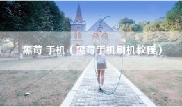 黑莓 手机（黑莓手机刷机教程）