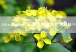 Editas Medicine, Inc.盘中异动 股价大跌5.13%