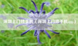 深圳上门修手机（深圳上门修手机app）