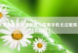 苹果手机无法聚焦（苹果手机无法聚焦什么原因）