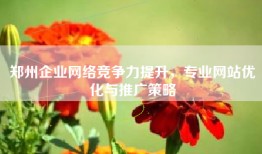 郑州企业网络竞争力提升，专业网站优化与推广策略