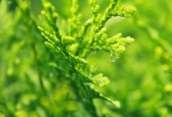 上海肿瘤医院黄牛办理住院床位电话（上海跑腿代办服务）全天候为您开启绿灯