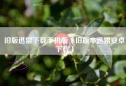 旧版迅雷下载手机版（旧版本迅雷安卓下载）