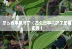 怎么查手机牌子（怎么查手机牌子是否正品）
