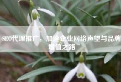 SEO代理推广，加速企业网络声望与品牌增值之路