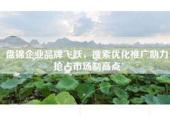 盘锦企业品牌飞跃，搜索优化推广助力抢占市场制高点