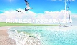 梅的手机壁纸（梅字壁纸手机壁纸）
