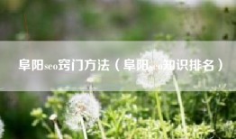 阜阳seo窍门方法（阜阳seo知识排名）