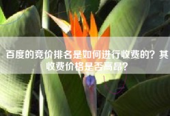 百度的竞价排名是如何进行收费的？其收费价格是否高昂？