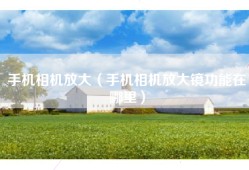 手机相机放大（手机相机放大镜功能在哪里）