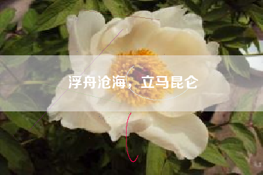 浮舟沧海，立马昆仑