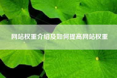 网站权重介绍及如何提高网站权重