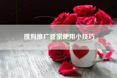 搜狗推广管家使用小技巧