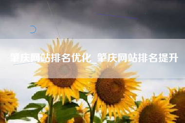 肇庆网站排名优化_肇庆网站排名提升