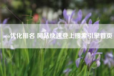 seo优化排名 网站快速登上搜索引擎首页