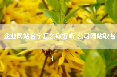 企业网站名字怎么取好听-公司网站取名