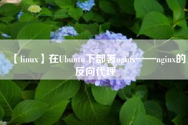 【linux】在Ubuntu下部署nginx——nginx的反向代理