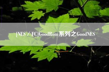 [NES／FC]GoodRom系列之GoodNES