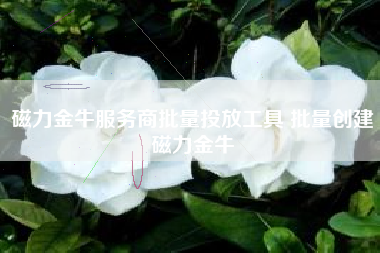 磁力金牛服务商批量投放工具 批量创建磁力金牛