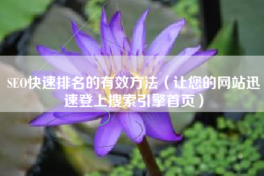 SEO快速排名的有效方法（让您的网站迅速登上搜索引擎首页）