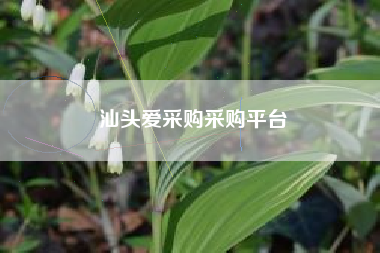汕头爱采购采购平台