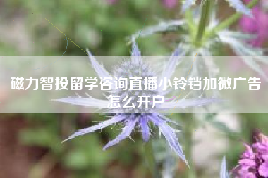 磁力智投留学咨询直播小铃铛加微广告怎么开户