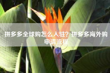 拼多多全球购怎么入驻？拼多多海外购申请流程