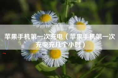 苹果手机第一次充电（苹果手机第一次充电充几个小时）