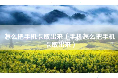 怎么把手机卡取出来（手机怎么把手机卡取出来）