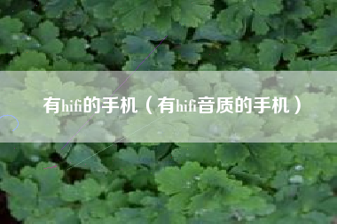 有hifi的手机（有hifi音质的手机）