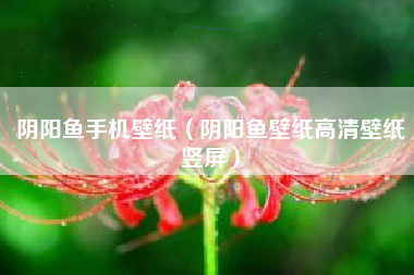 阴阳鱼手机壁纸（阴阳鱼壁纸高清壁纸竖屏）
