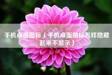 手机桌面图标（手机桌面图标怎样隐藏起来不显示）