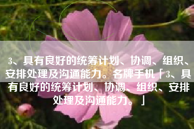 3、具有良好的统筹计划、协调、组织、安排处理及沟通能力。名牌手机「3、具有良好的统筹计划、协调、组织、安排处理及沟通能力。」