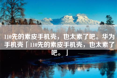 110先的素皮手机壳，也太素了吧。华为手机壳「110先的素皮手机壳，也太素了吧。」