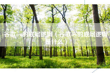 谷歌seo的底层逻辑（谷歌seo的底层逻辑是什么）