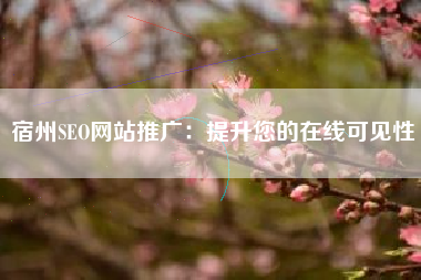 宿州SEO网站推广：提升您的在线可见性
