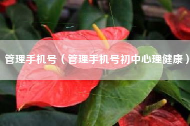 管理手机号（管理手机号初中心理健康）