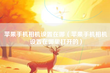 苹果手机相机设置在哪（苹果手机相机设置在哪里打开的）