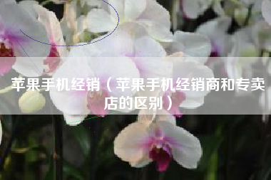 苹果手机经销（苹果手机经销商和专卖店的区别）