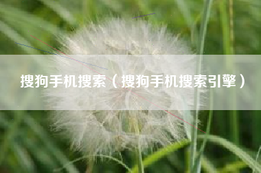 搜狗手机搜索（搜狗手机搜索引擎）